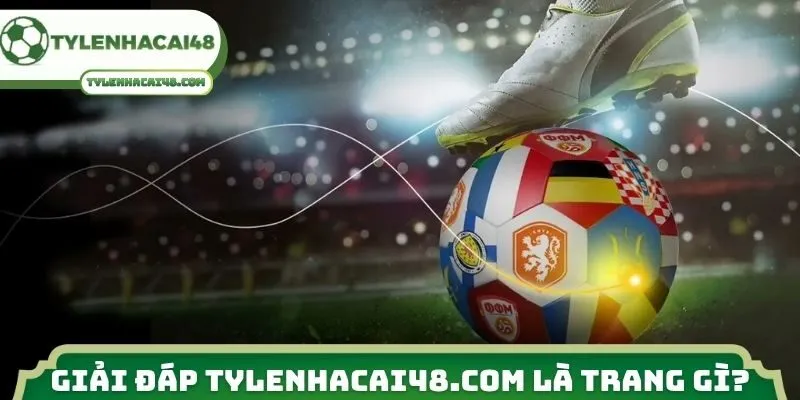 Giải đáp proshowvn.net là trang gì?